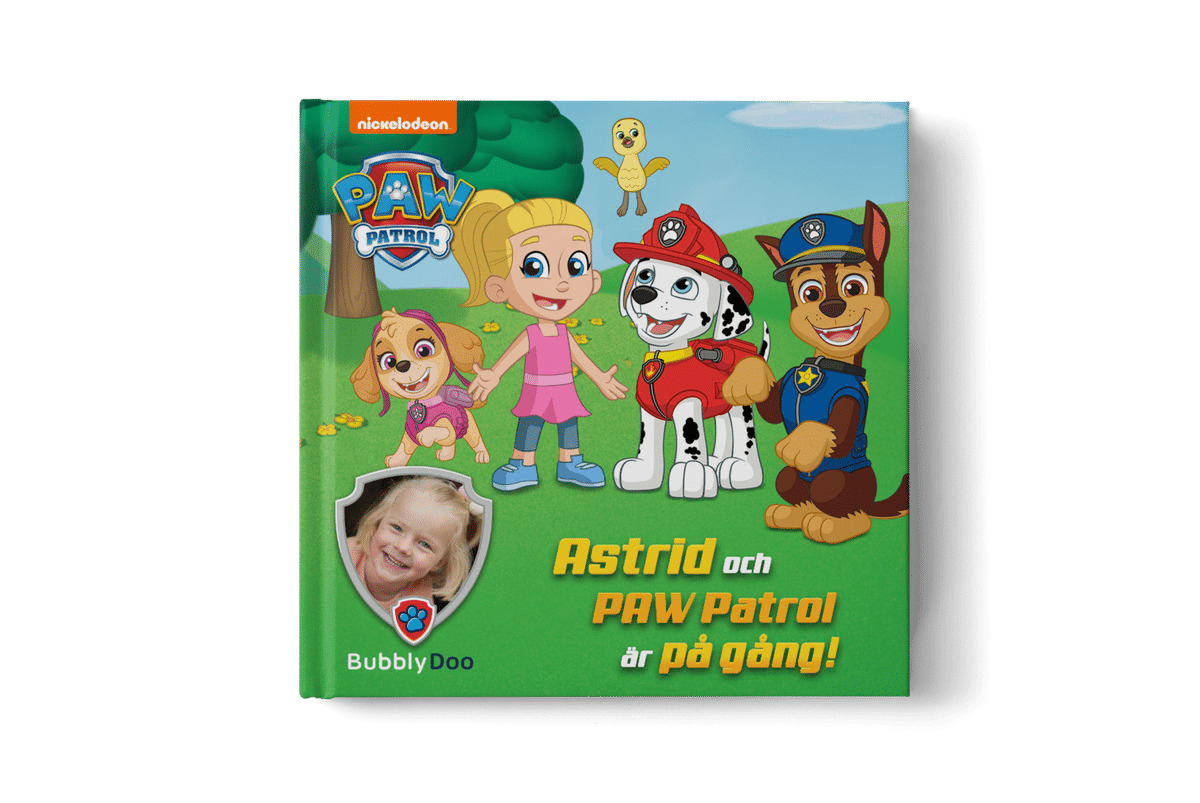 paw-patrol-rescue-image