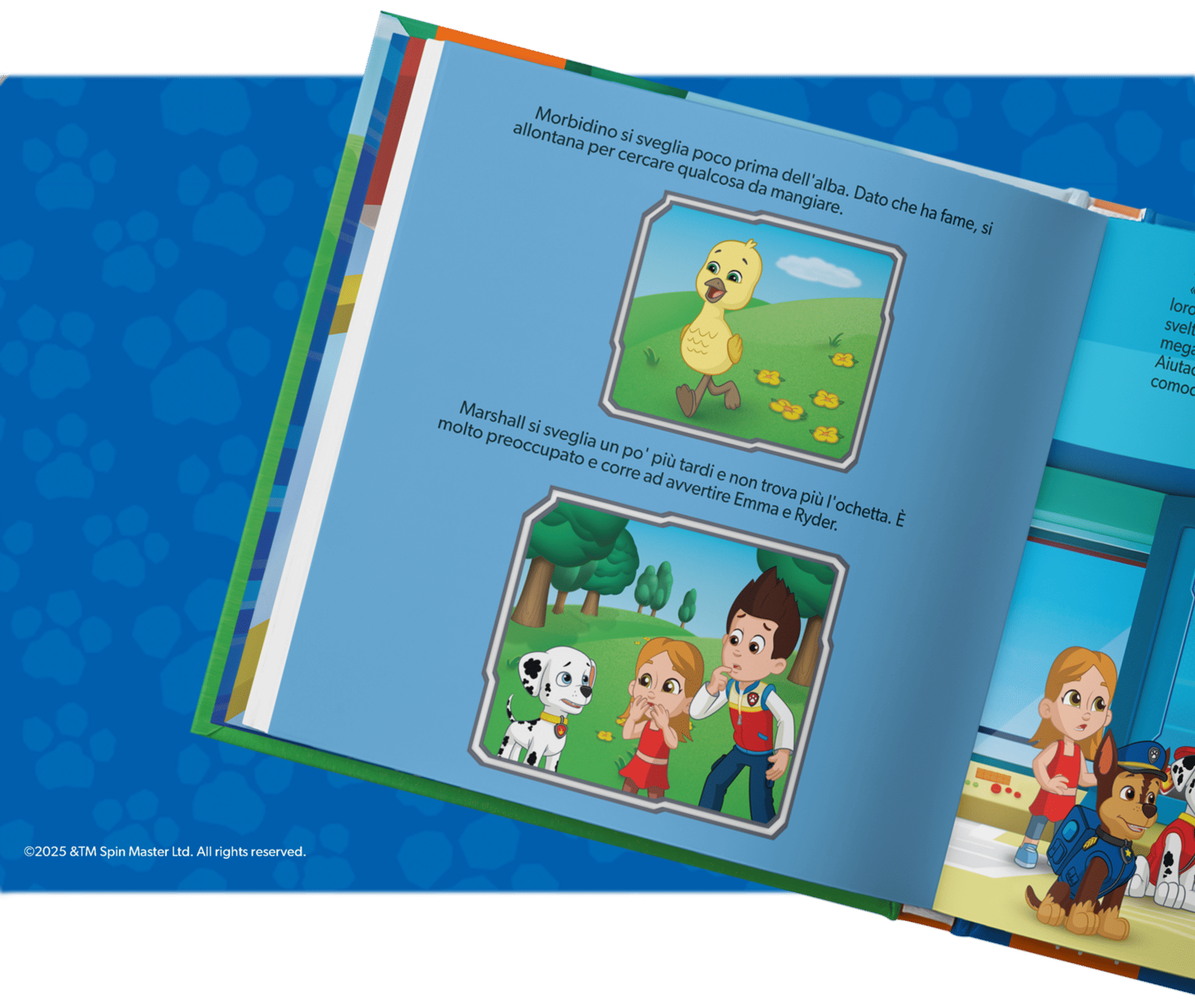 Il bambino scoprirà dettagli personalizzati, dovunque!