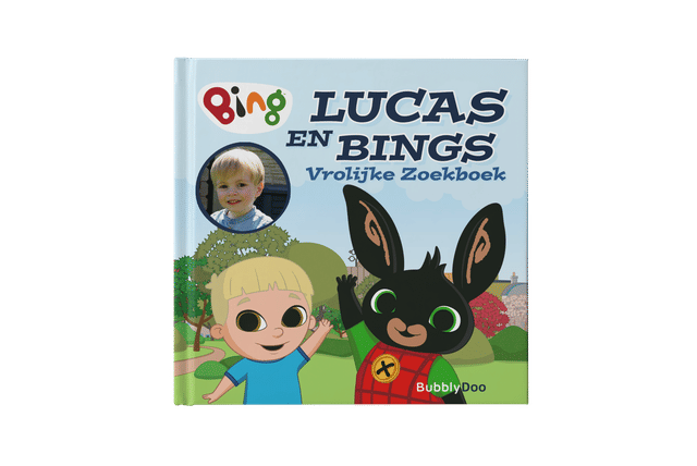 Bings Vrolijke Zoekboek