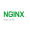 Nginx tag image