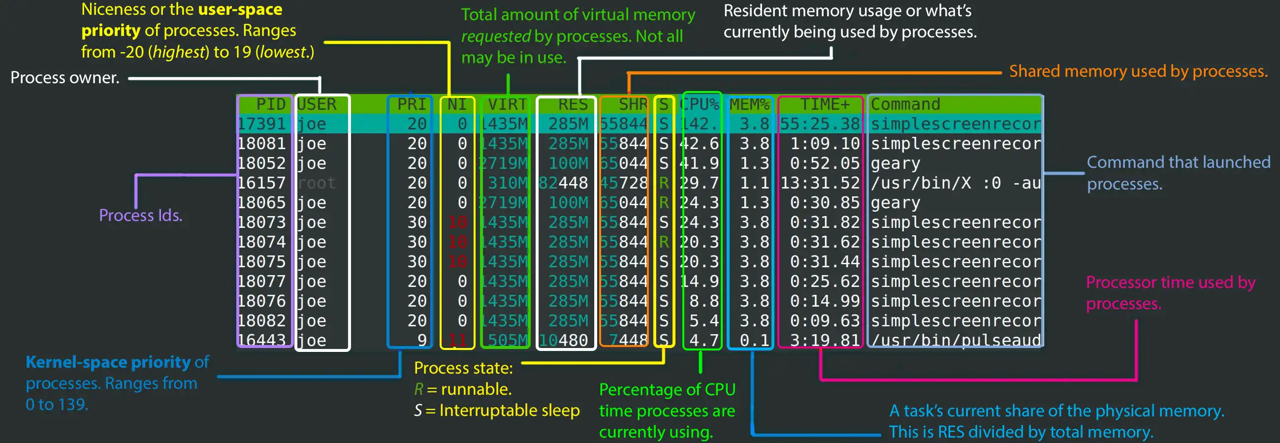 htop : An interactive command line Linux Task Manager