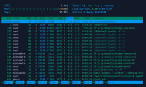 htop : An interactive command line Linux Task Manager