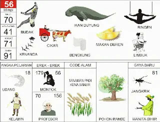 Buku Mimpi 56, buku mimpi, buku tafsir mimpi