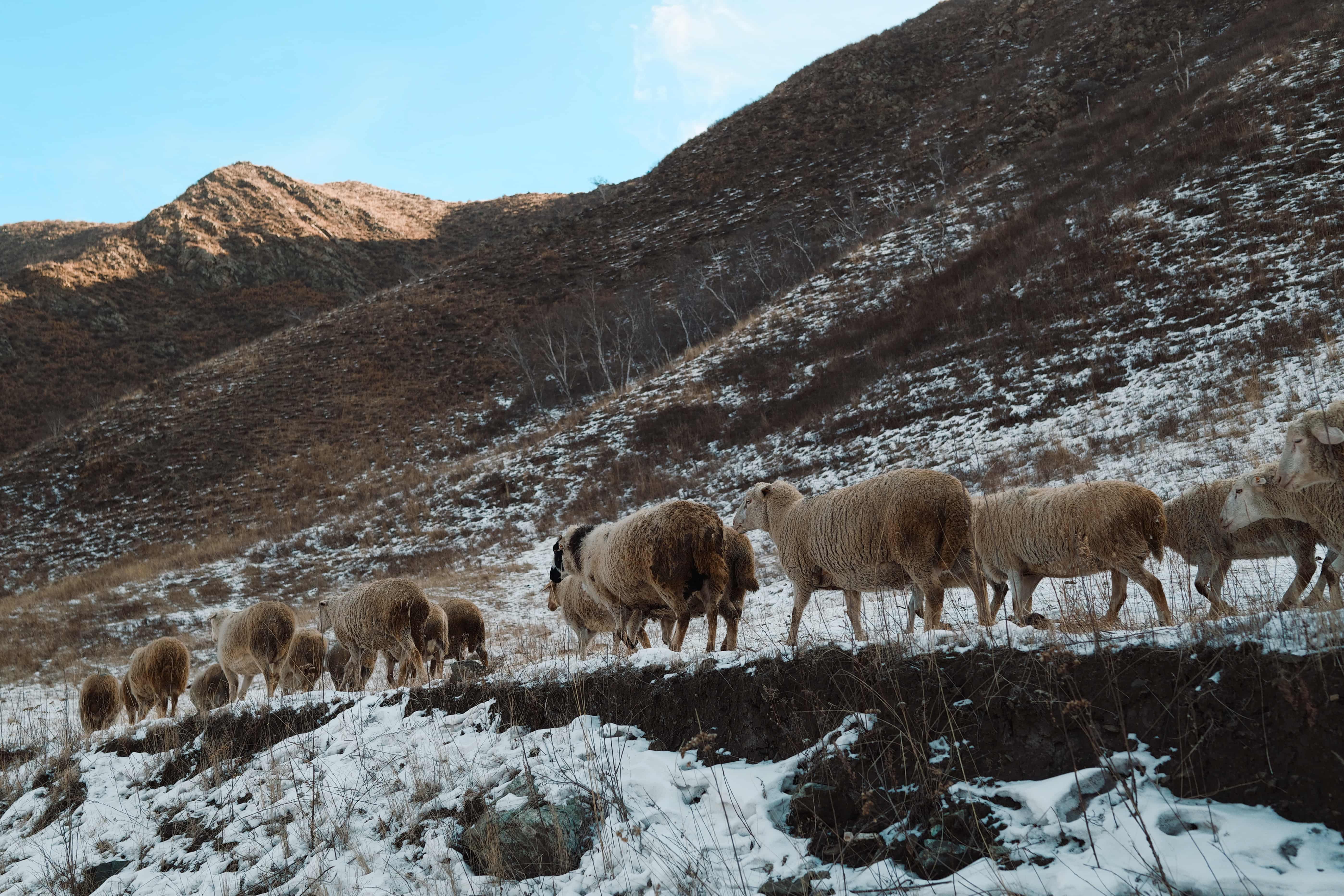 Living Like Traveling