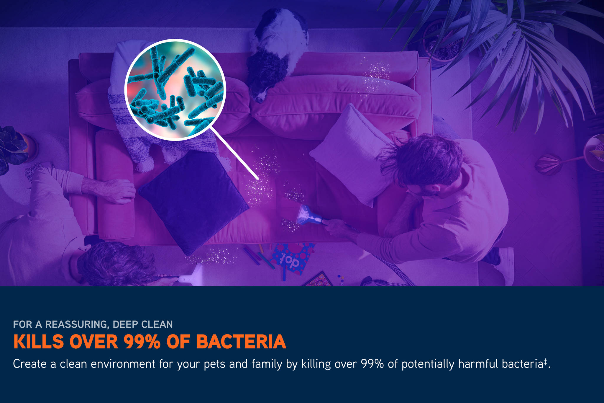 VGID GALLERY/SKU3 - SpotWash MAX Pet-Design and Car/Image_9_SpotWash_MAX_Pet-Design_Car_-_3840x2560_72DPI_Web