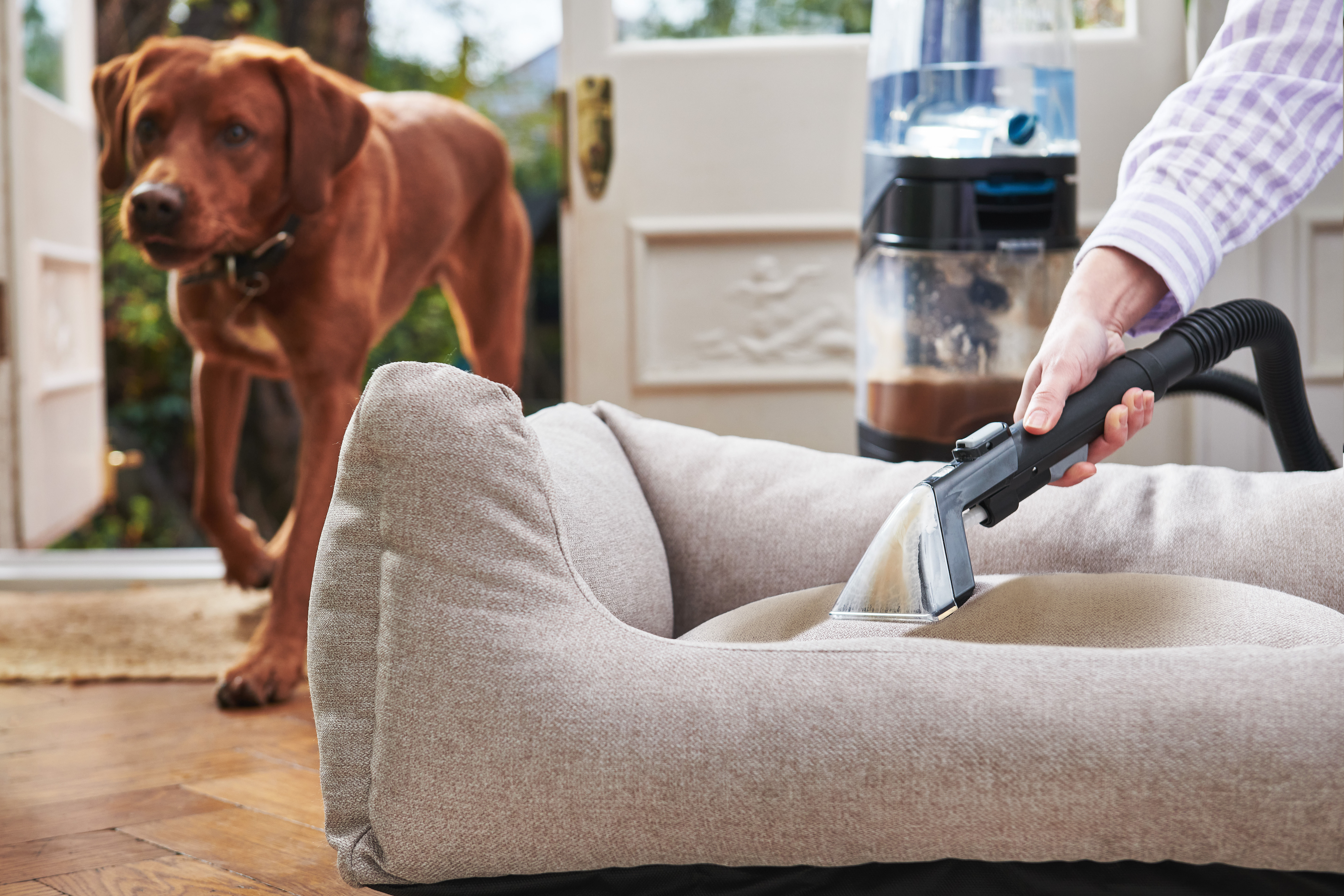 AA - HomePro Web Updates/AAA - New PDP Gallery Content/Carpet Cleaners/Power Max Pet-Design/VAX_Platinum_Power_Max_Pet-Design_-_Antimicrobial_2-in-1_Tool_Rubber_Nub_On_Pet_Bed