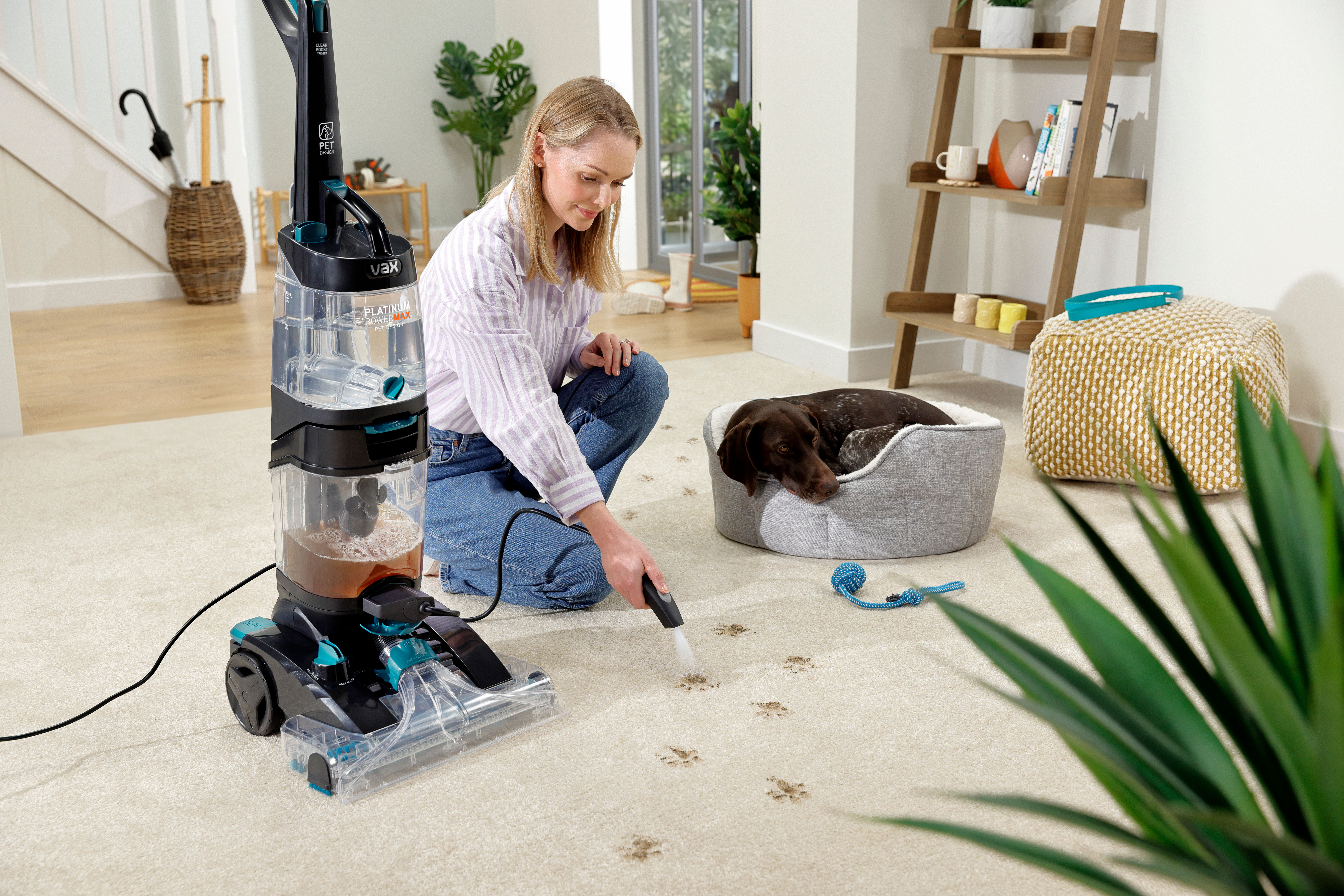 Carpet Cleaners with Tools
