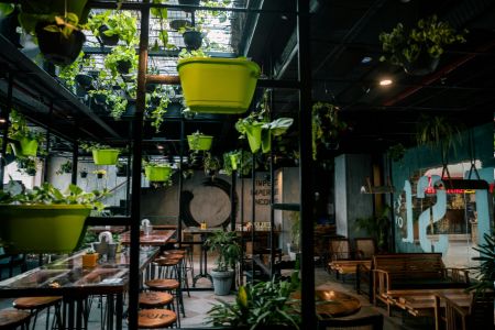Best Sustainable Kitchen