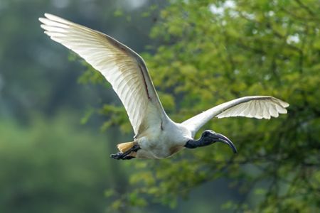 BEST WILDLIFE DESTINATION