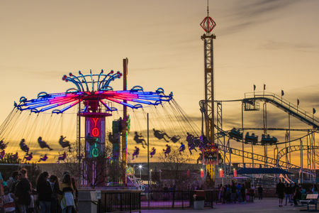 Best Theme Park