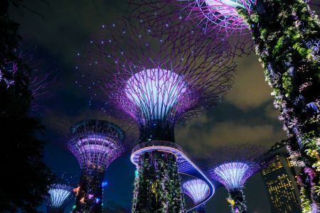 Best Family Destination