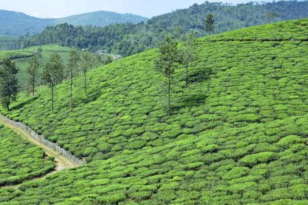 Best Green Destination