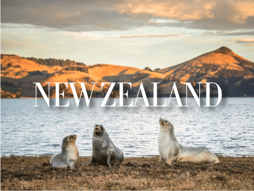 New Zealand New Zealand