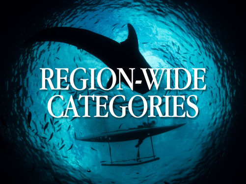 Region-Wide Categories Region-Wide Categories