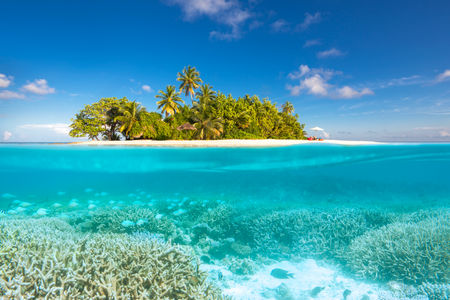 House Reefs