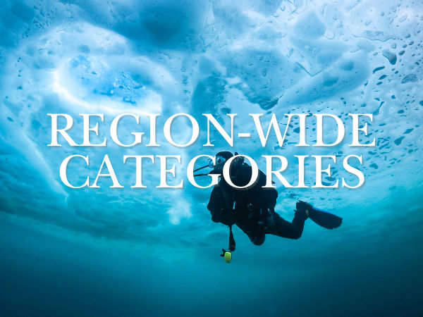 Region-Wide Categories Region-Wide Categories
