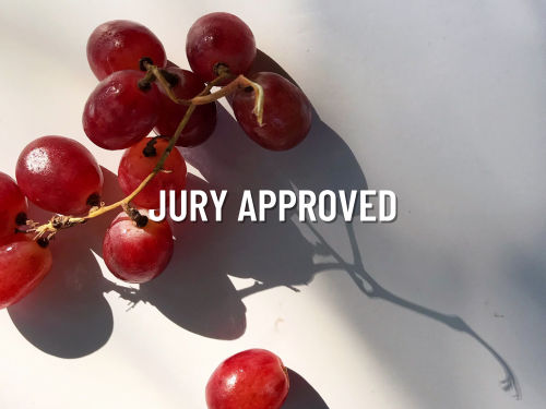 Jury Approved Jury Approved