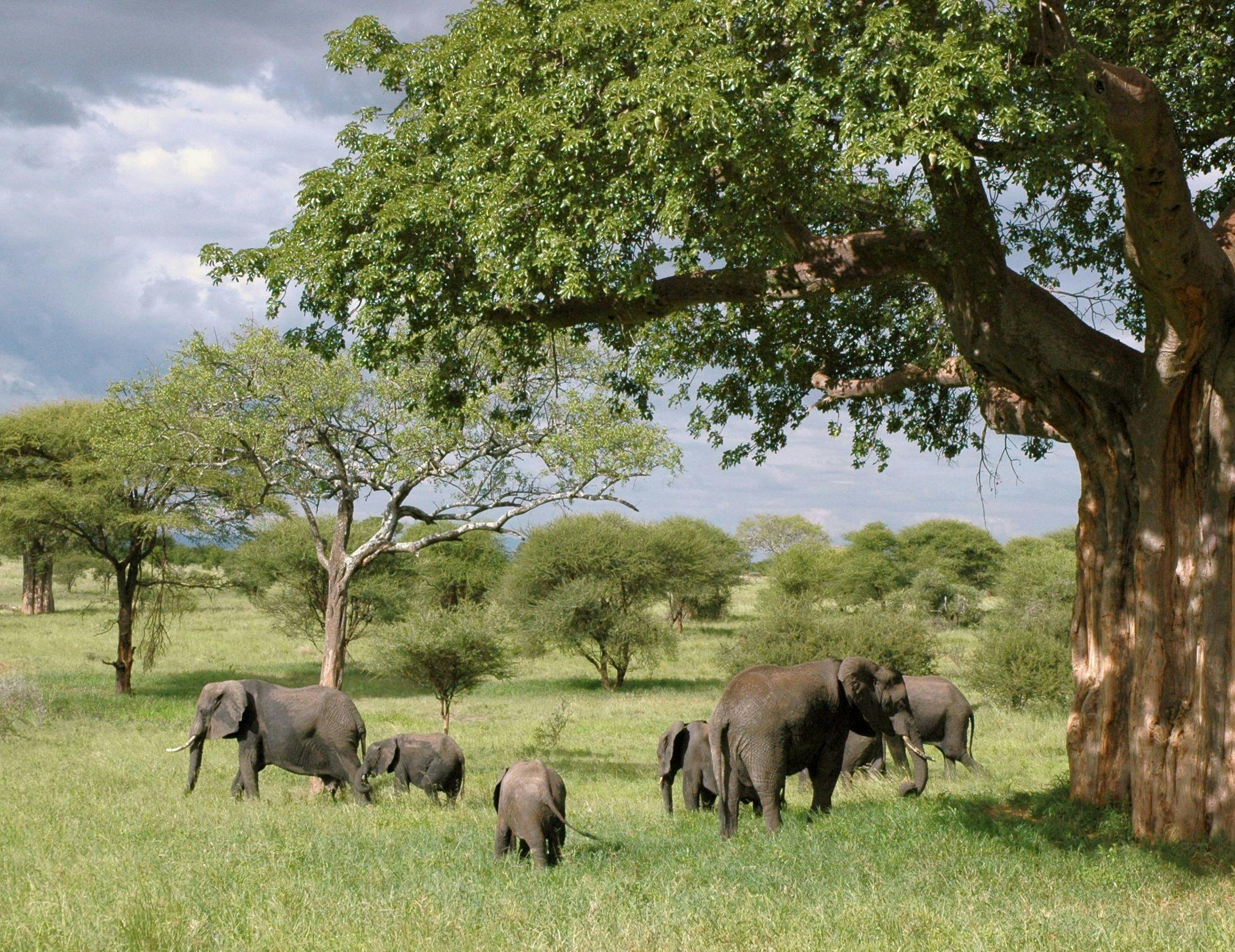 Best Wildlife Destination