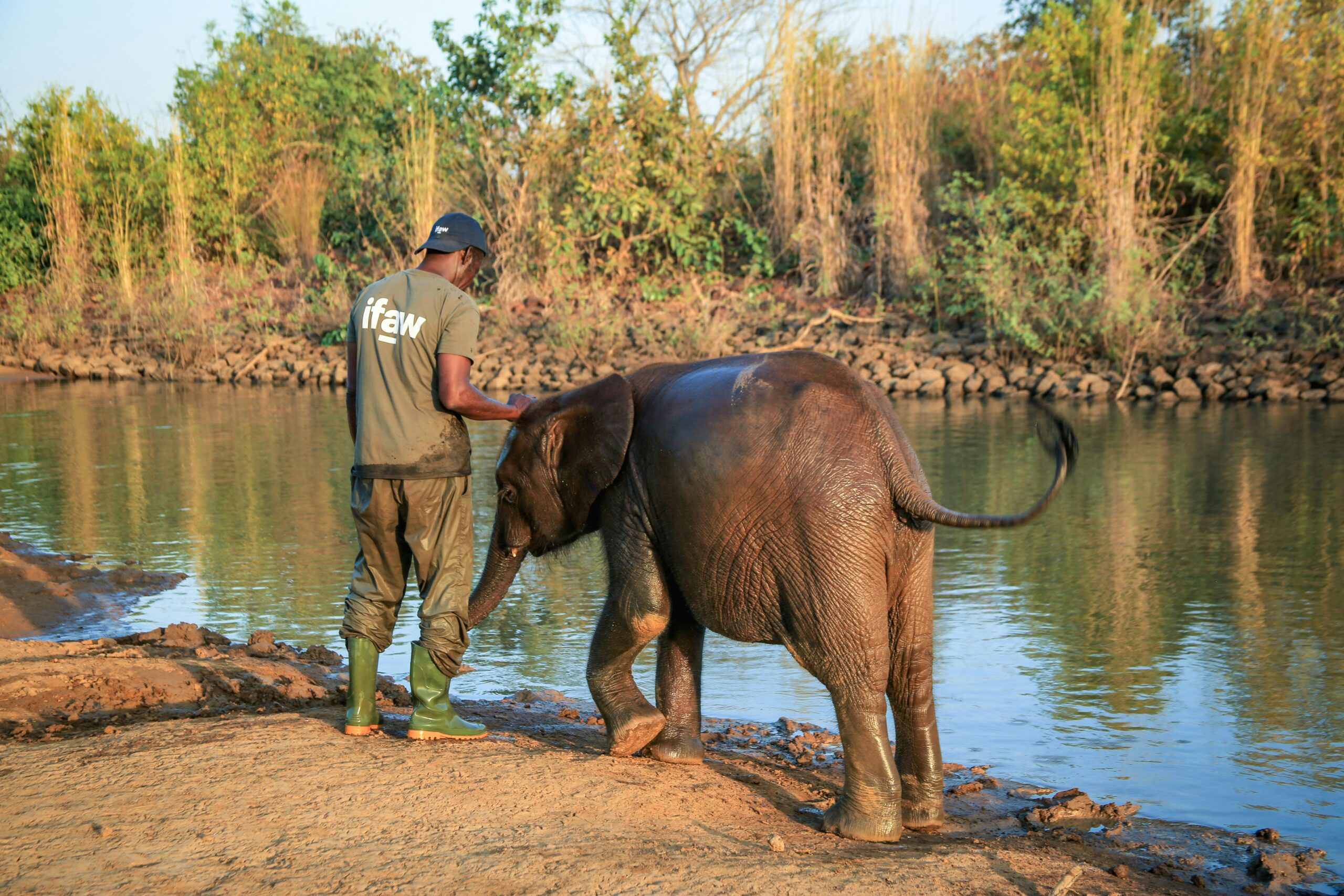 Champion of Conservation - Wildlife