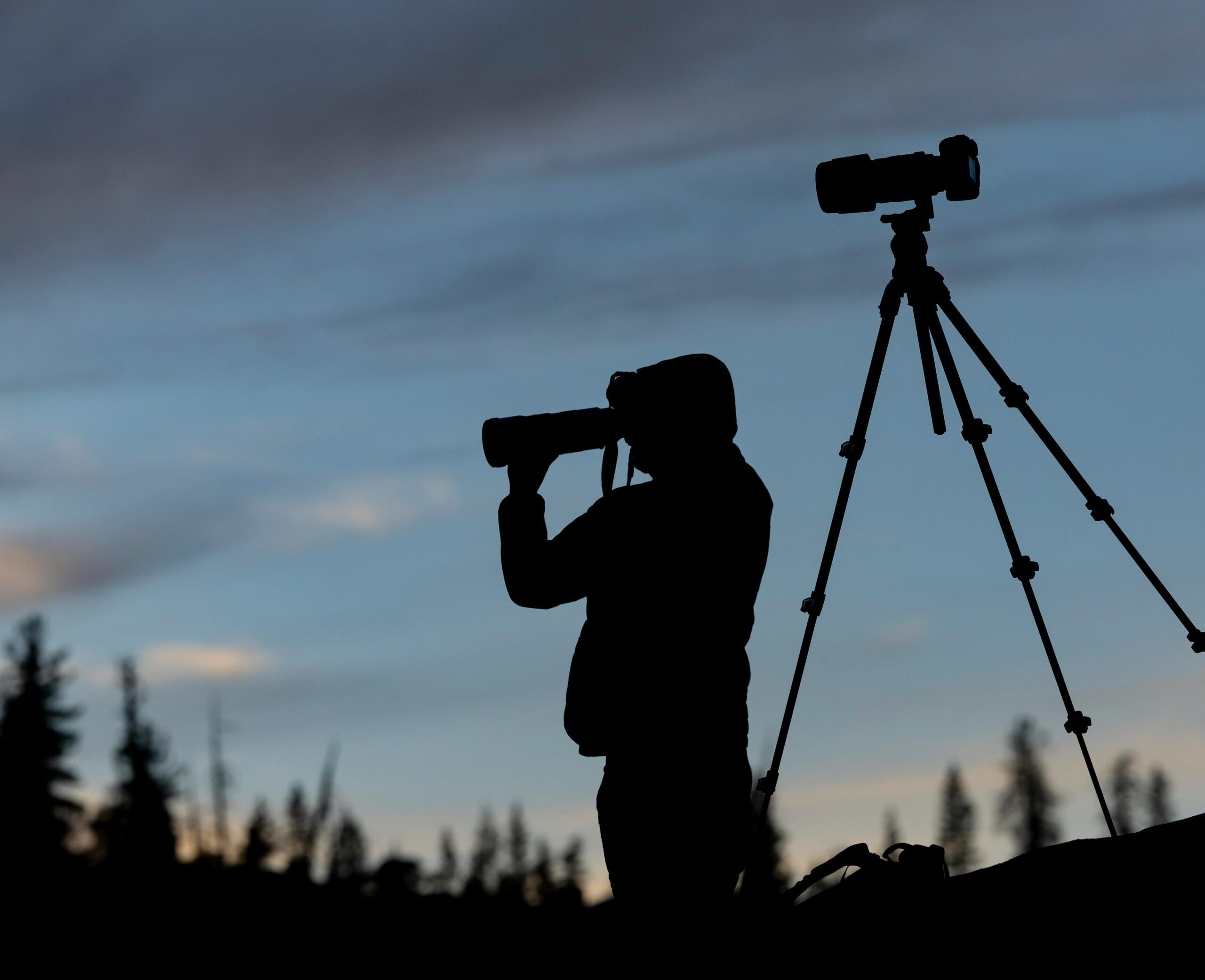 Champion of Wildlife Photography
