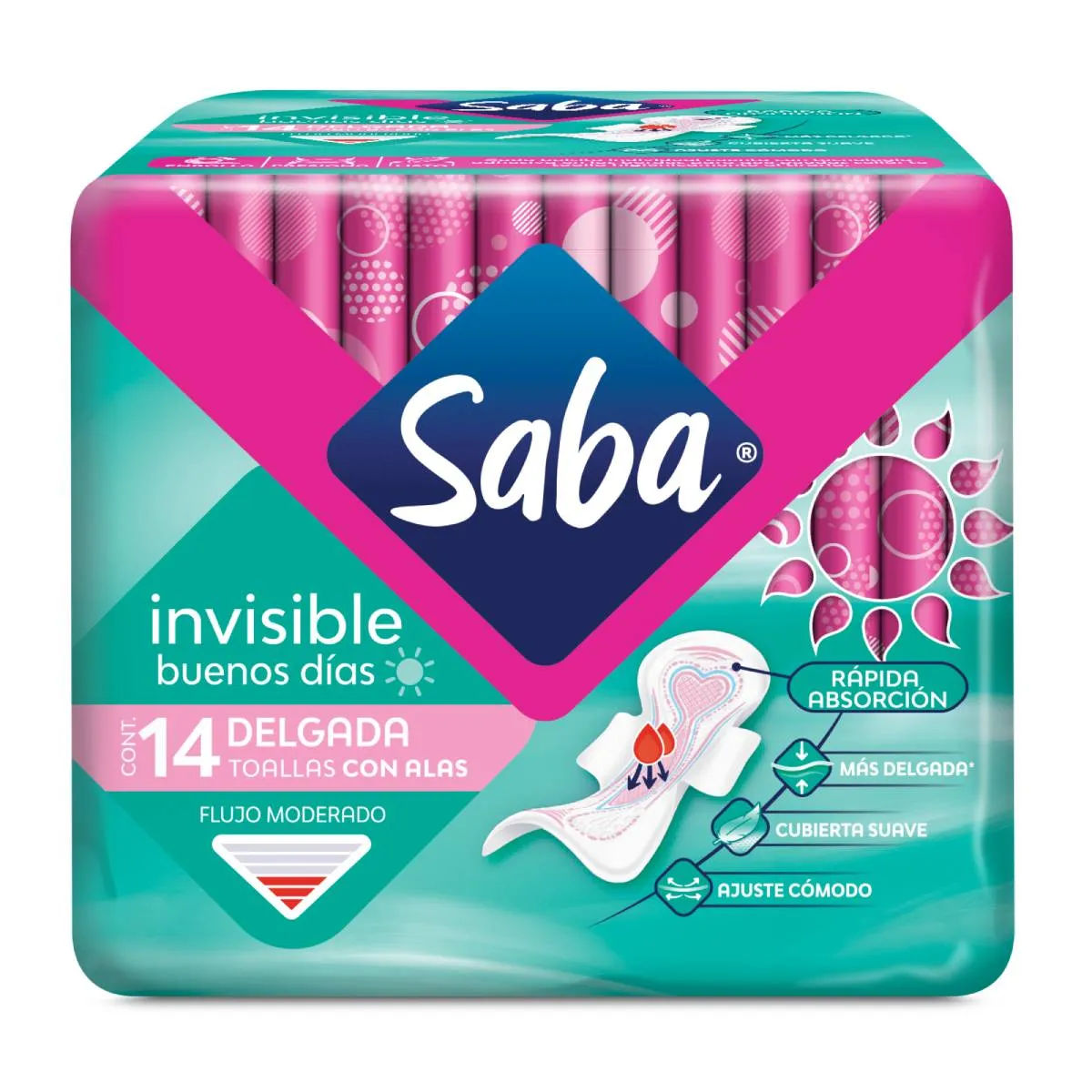 Imagen de Invisible