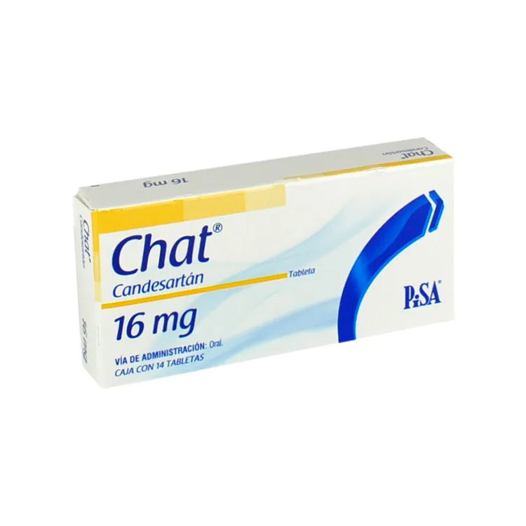 Imagen de Chat