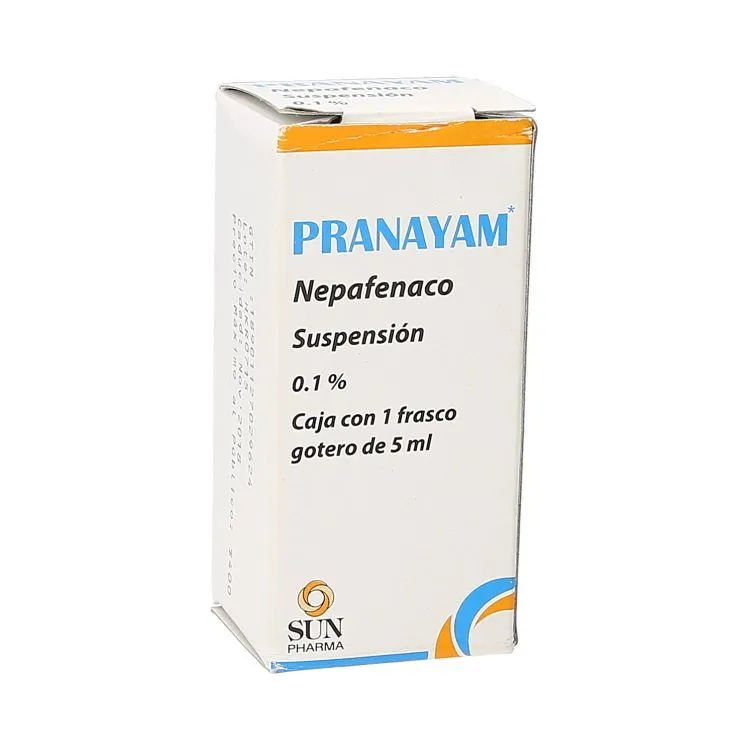 Imagen de Pranayam