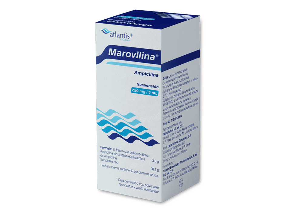 Imagen de Marovilina