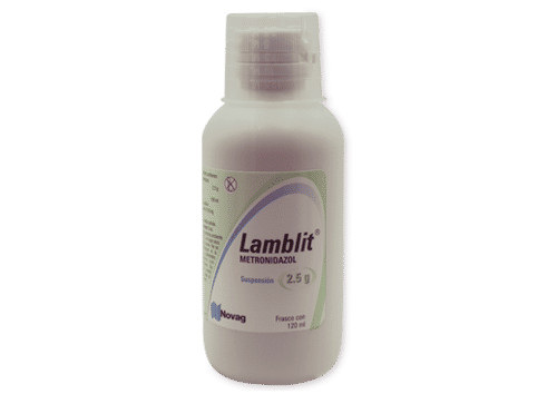 Imagen de Lamblit