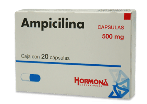 Imagen de Ampicilina