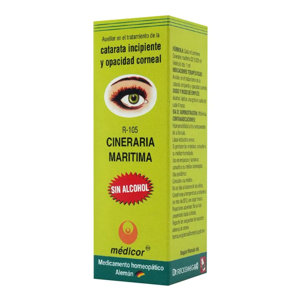 Imagen de Cineraria Marítima