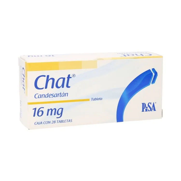 Imagen de Chat