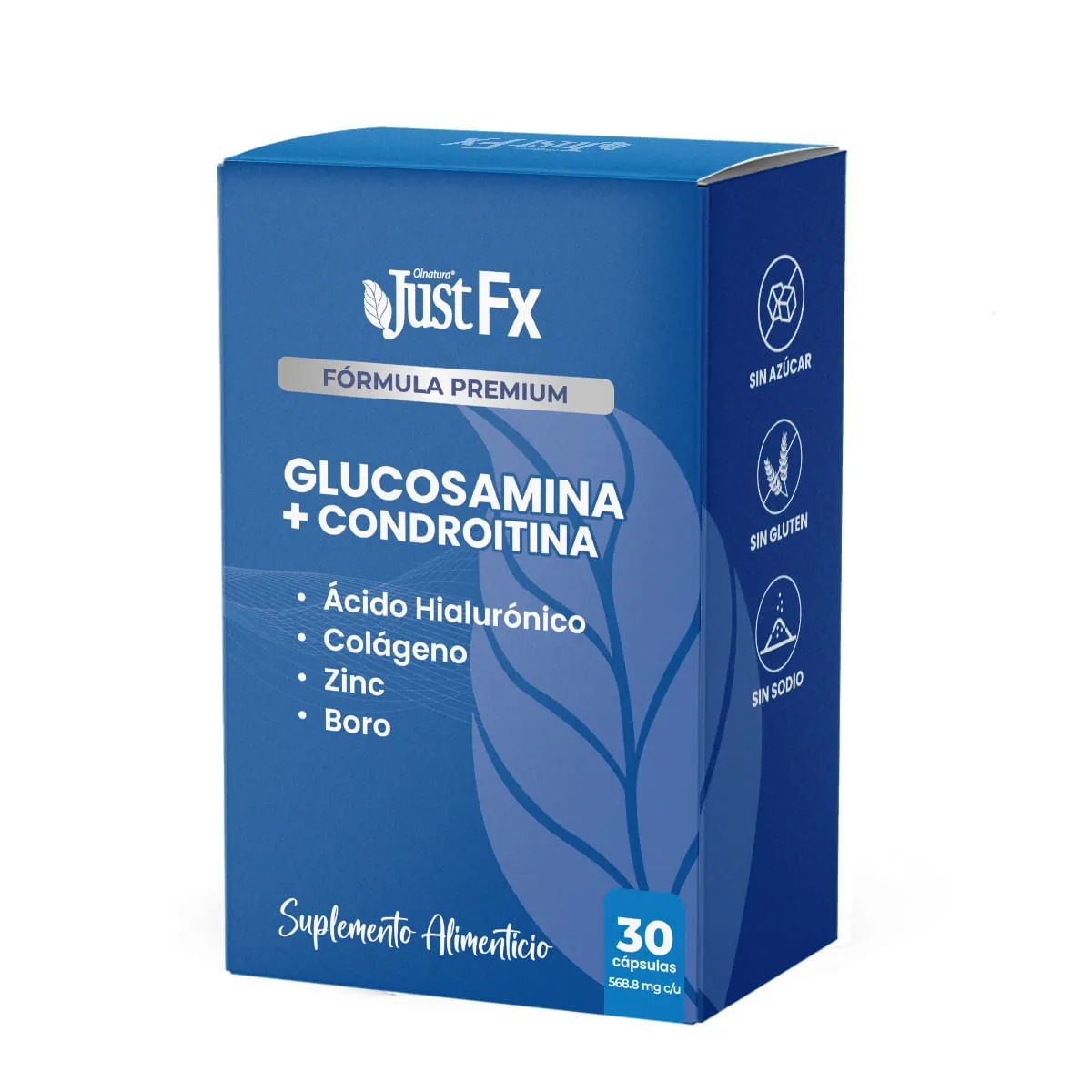 Imagen de Glucosamina + Condroitina