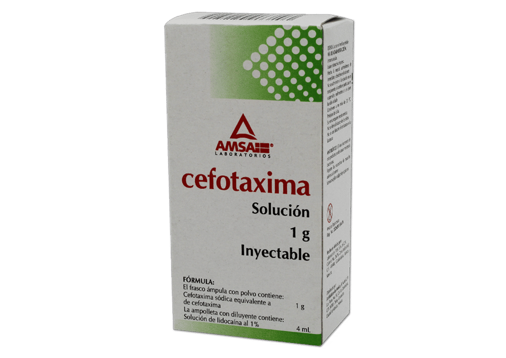 Cefotaxima