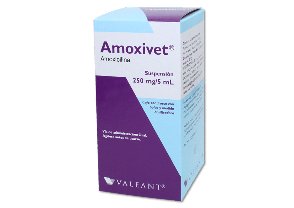 Imagen de Amoxivet