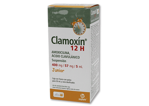 Imagen de Clamoxin