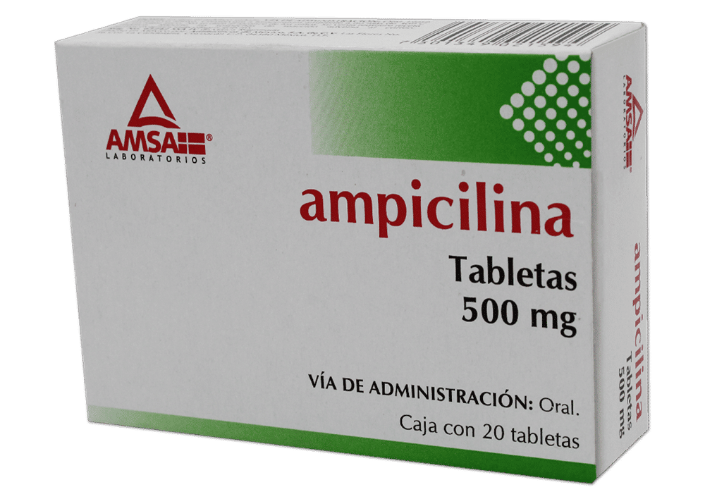 Ampicilina
