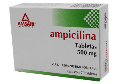 Imagen de Ampicilina