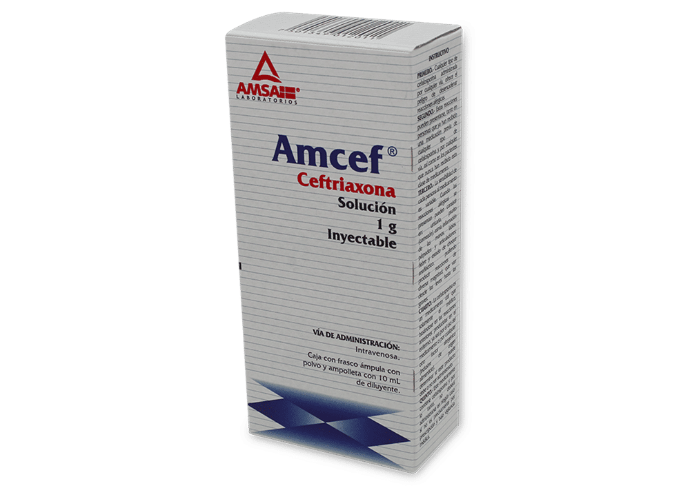 Imagen de Amcef