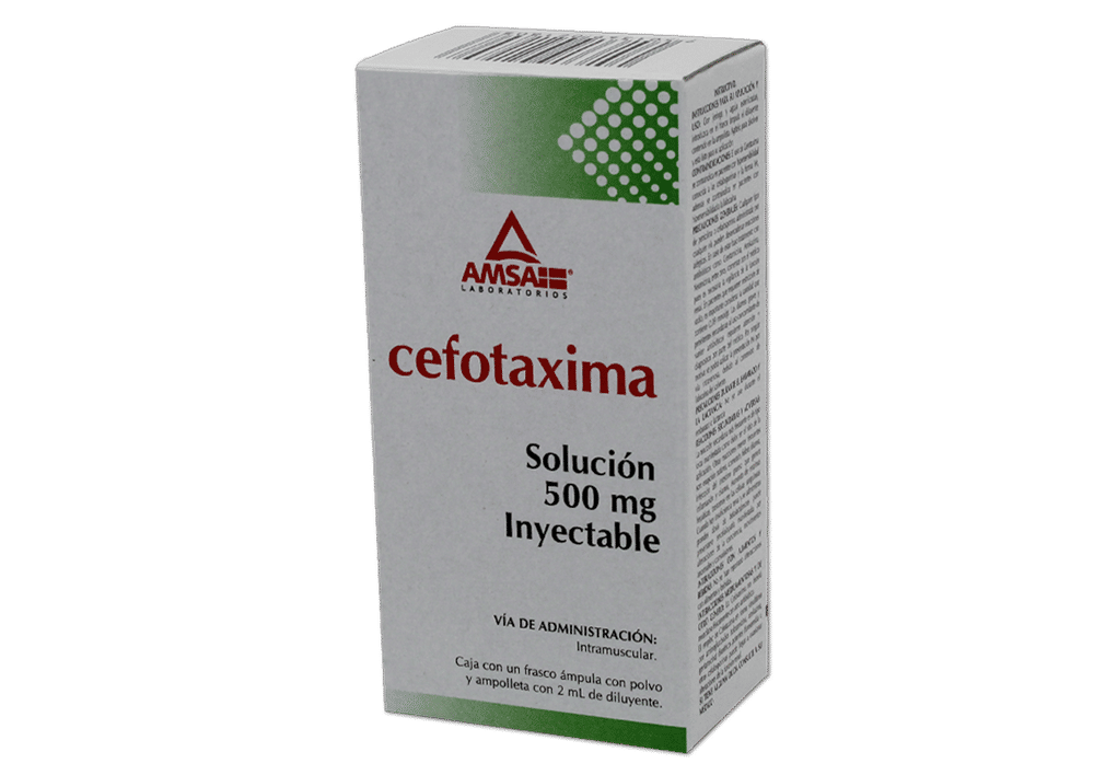 Imagen de Cefotaxima
