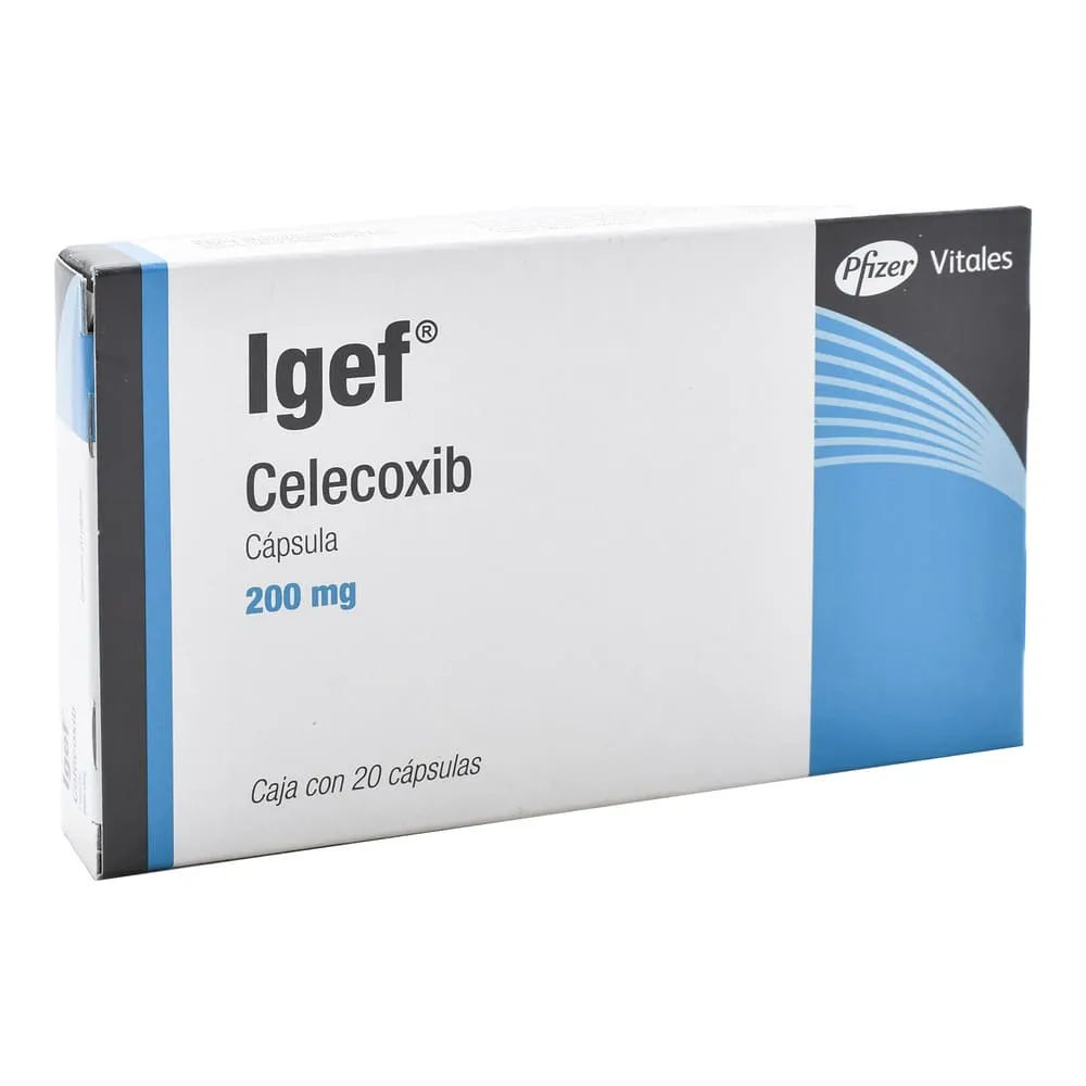 Igef