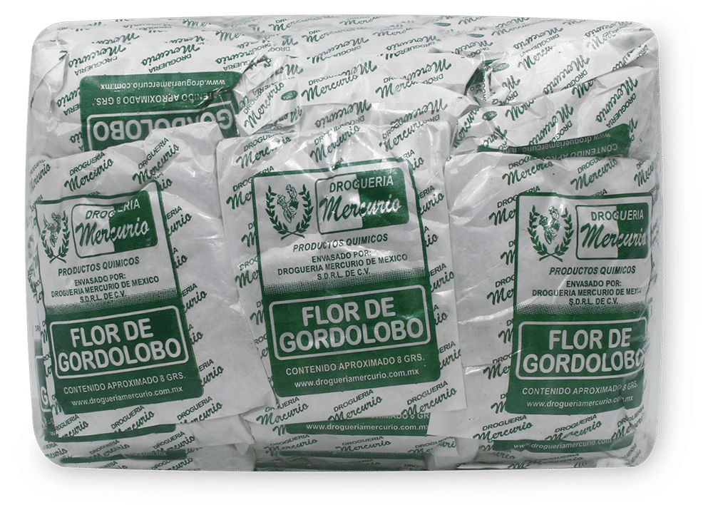 Imagen de Flor de Gordolobo