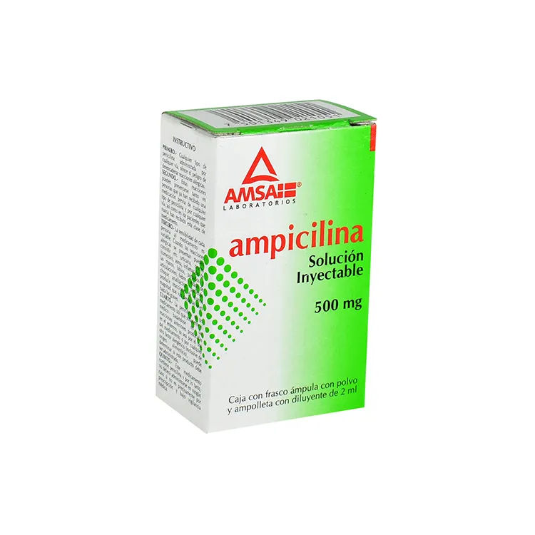 Imagen de Ampicilina