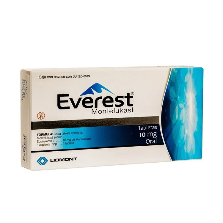 Imagen de Everest