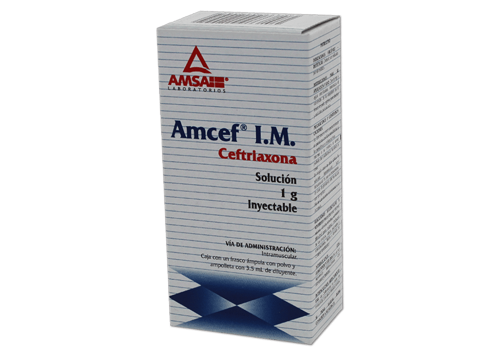 Imagen de Amcef