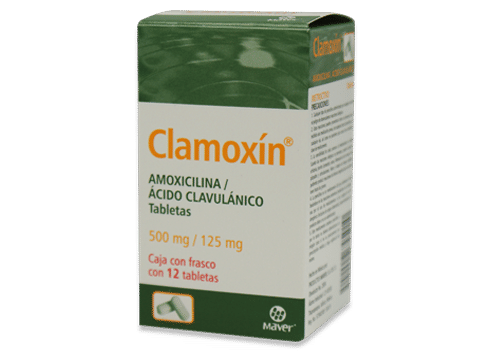Imagen de Clamoxin