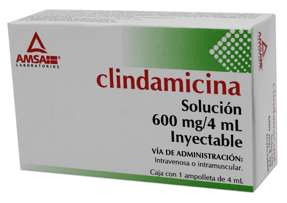 Imagen de Clindamicina