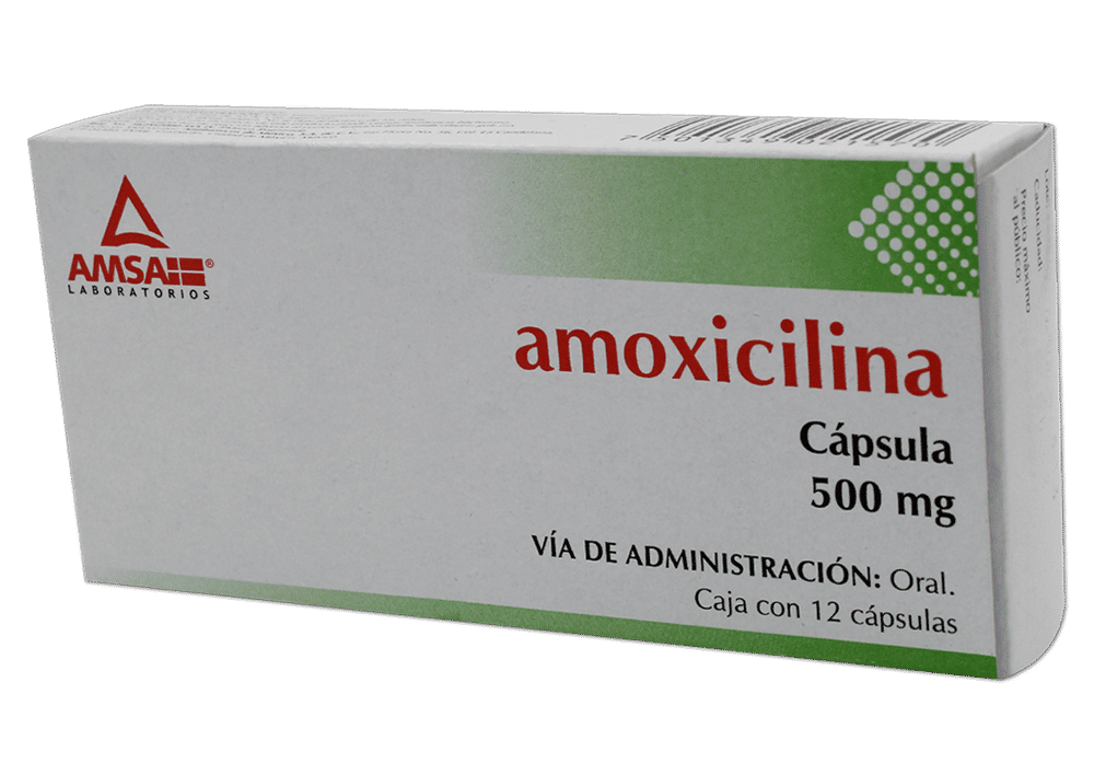 Imagen de Amsaxilina