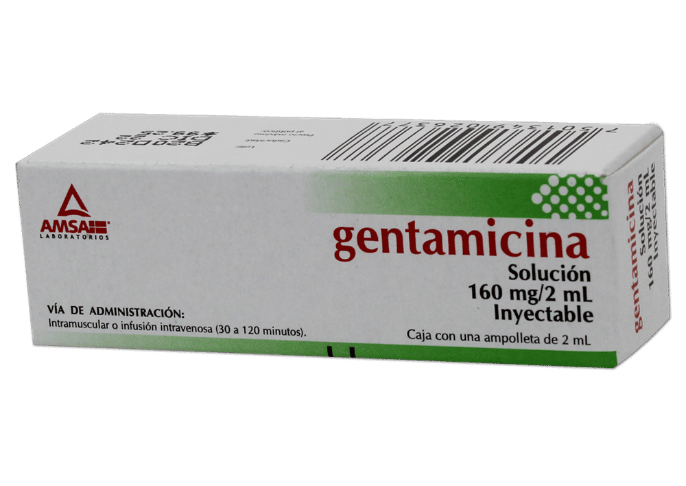 Gentamicina