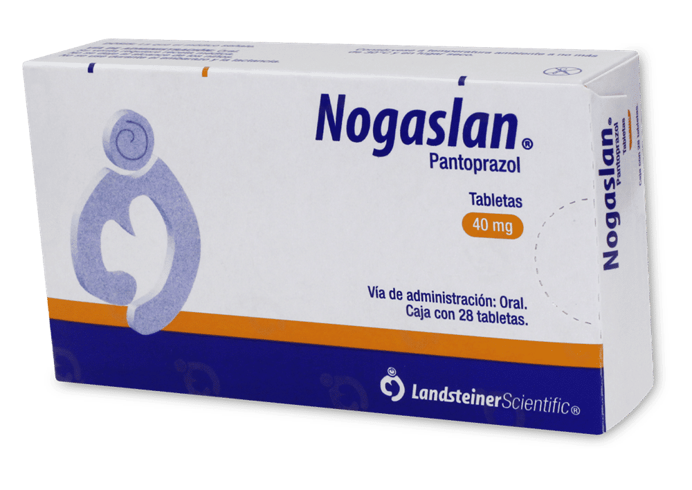 Imagen de Nogaslan